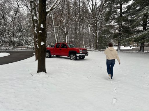 Hauling my sled!