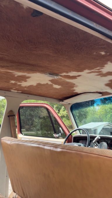 Installed cowhide headliner!