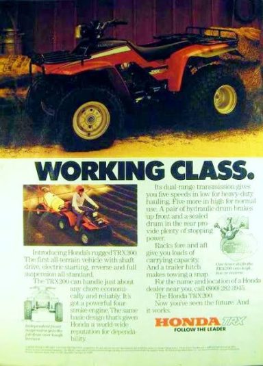 1984 Article